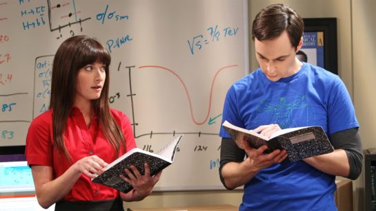 Кадр из 3 серии 6 сезона сериала «Теория большого взрыва»